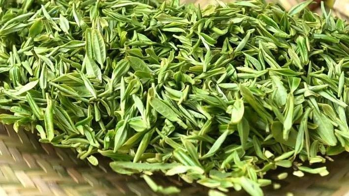 第五届农产品地理标志品牌,浙江知名农产品品牌