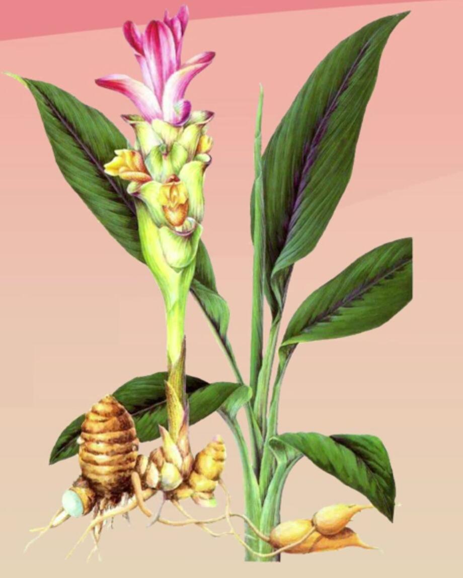 正宗粮食酒兰陵美酒,山东名酒兰陵各种酒的价格