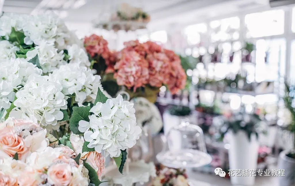 想开一家鲜花店需要怎么准备,新手如何开好一家鲜花店