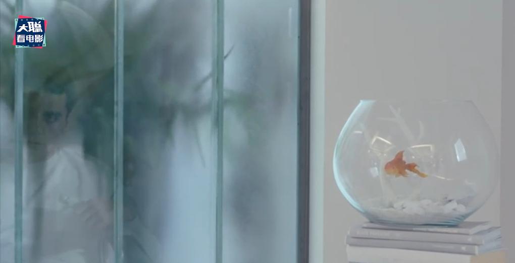 鏈堝厜楠戝＋椹厠涓庡彶钂傛枃,鏈堝厜楠戝＋椹彲