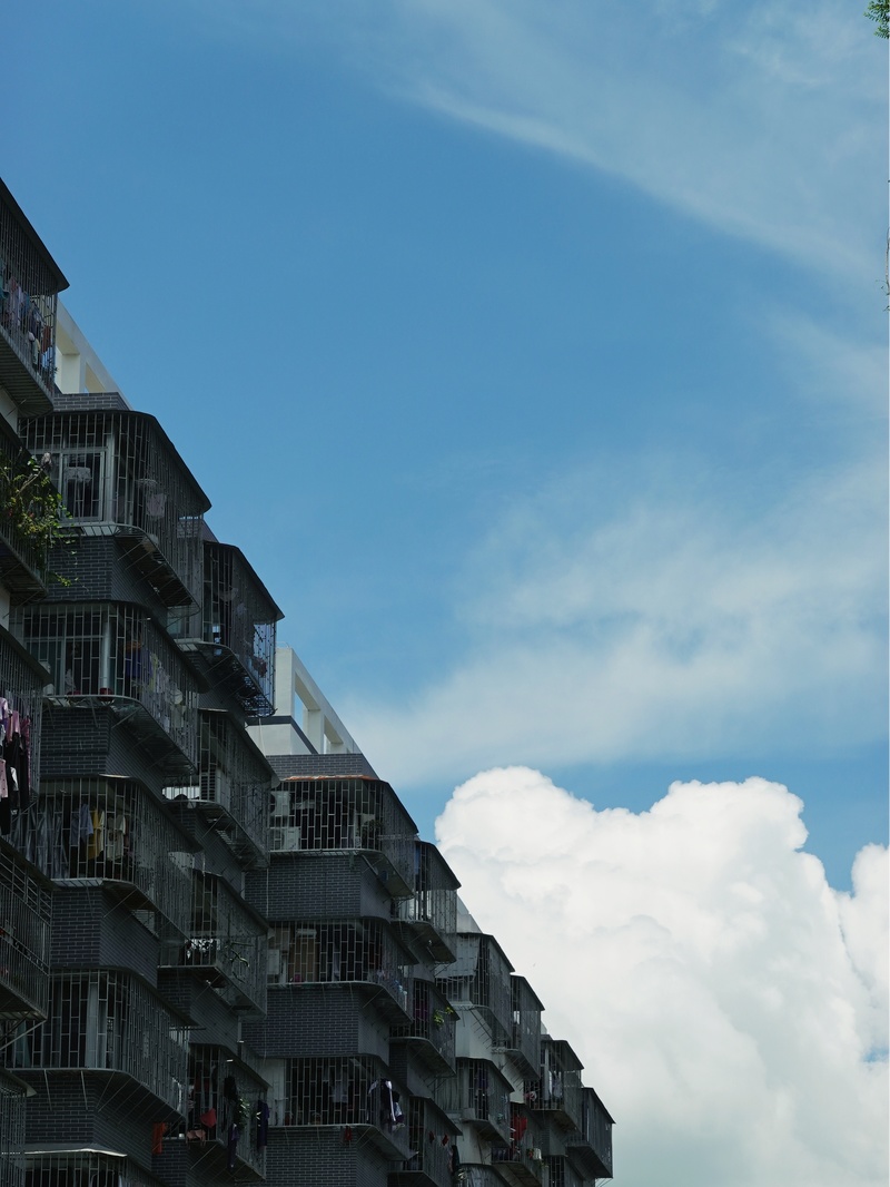 深圳ENJOY｜城市漫游指南·蛇口