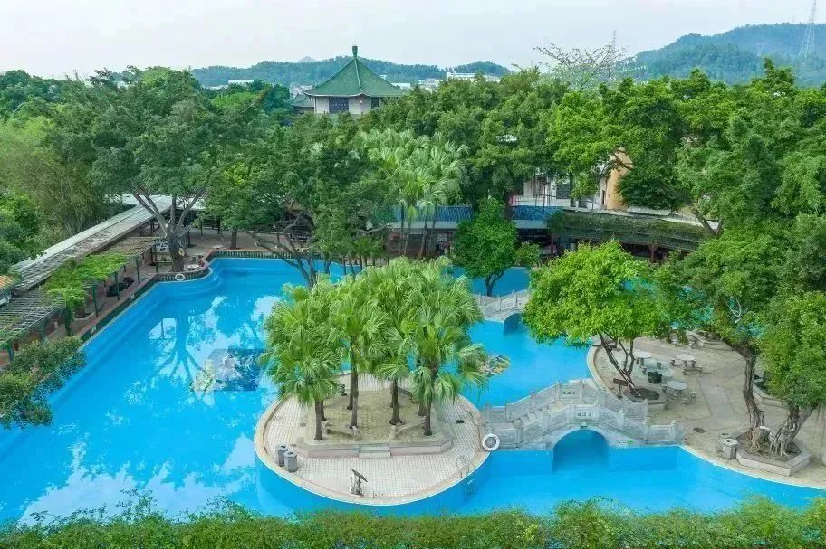 盛夏赴一场荷香之约,与夏天来场清凉的约会