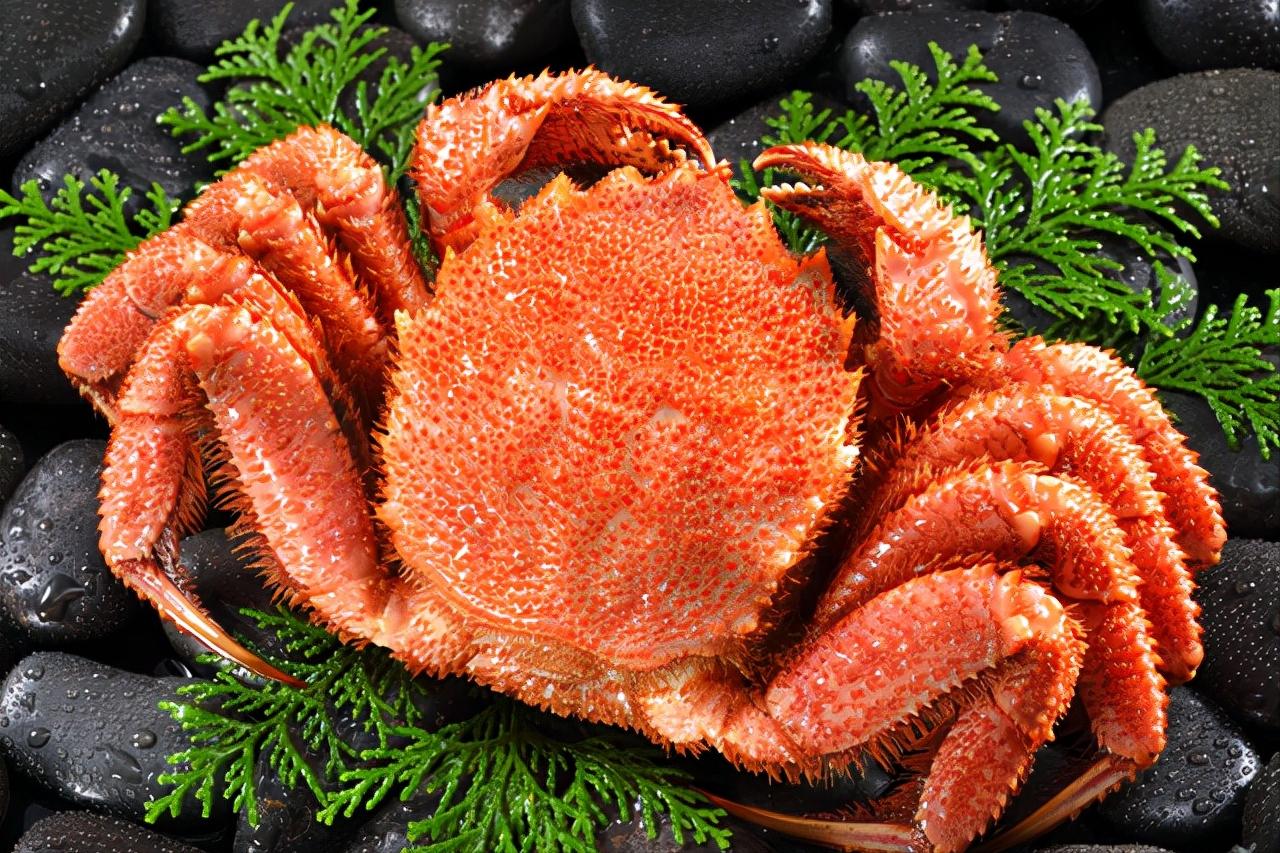 去日本必吃的五种海鲜,到日本必吃的饕餮美食