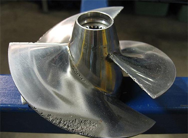 雀尾螳螂虾一秒能挥出两拳,雀尾螳螂虾的拳头堪比子弹的威力