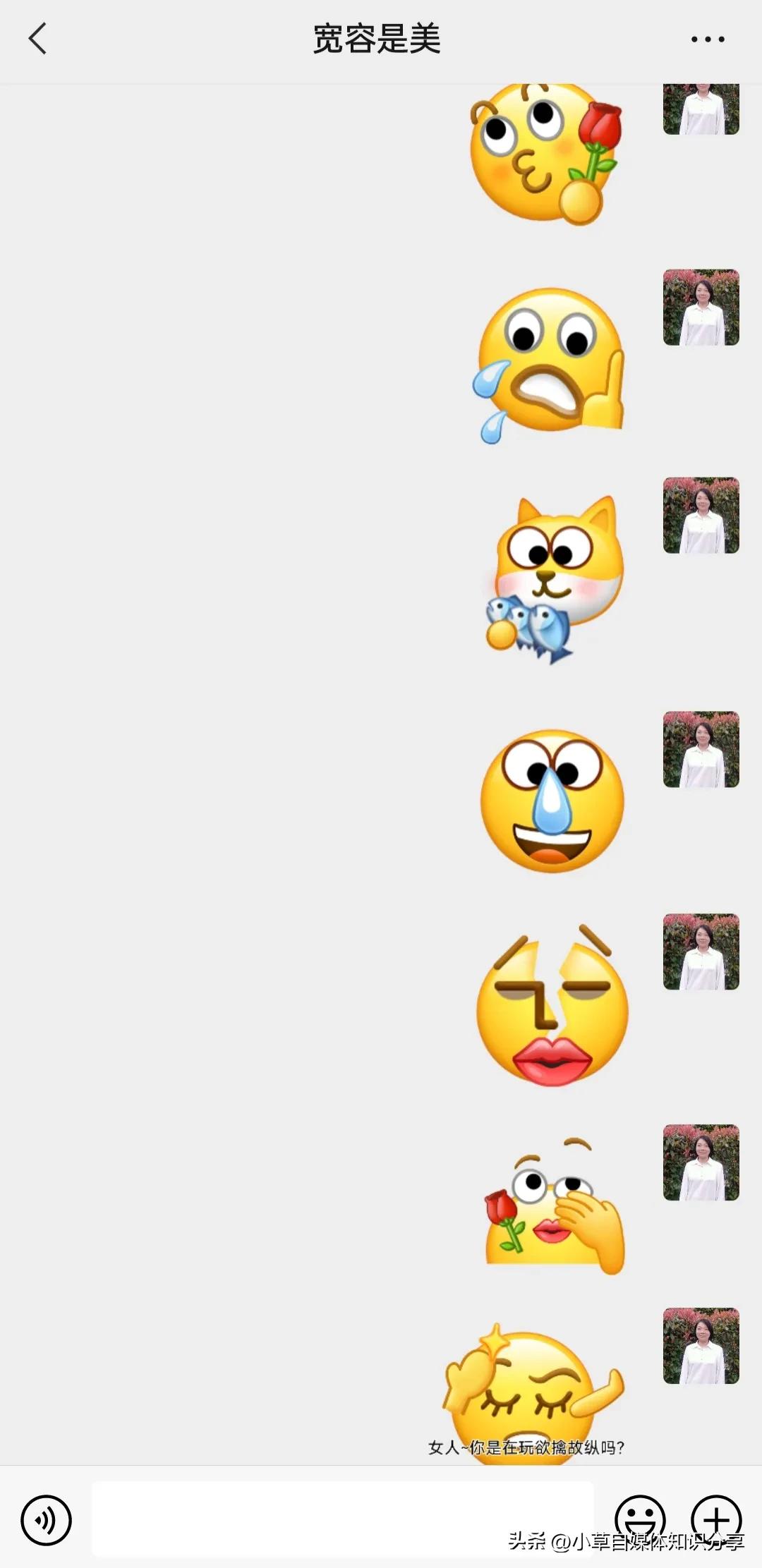 微信聊天斗图必备技巧表情包,适合微信斗图的动画表情