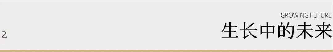 制作食品袋用的是什么材料,用包装袋制作物品