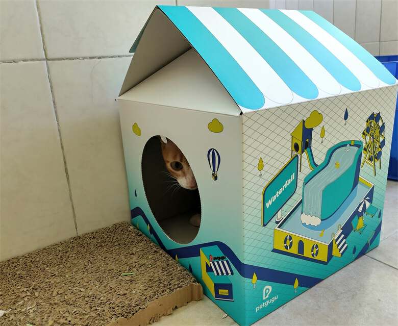 猫自动喂食器和饮水器评测,猫咪自动喂水喂食一体器智能恒温