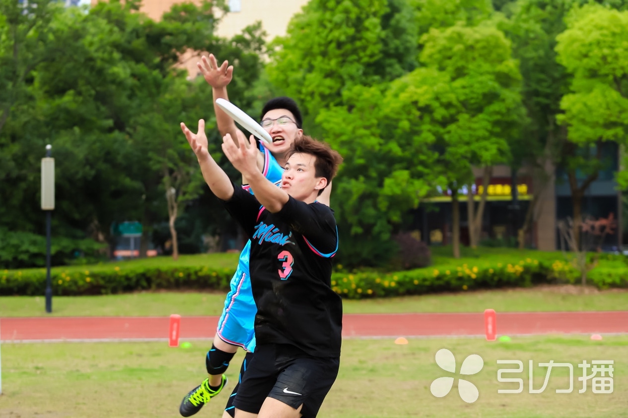 又添“新成员”！苏州市大众体育联赛引进飞盘运动