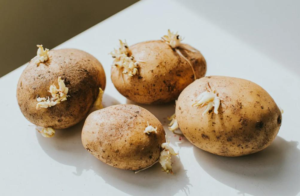 日本圣诞节必吃“肯德基”？10个意想不到的圣诞节特殊习俗一览