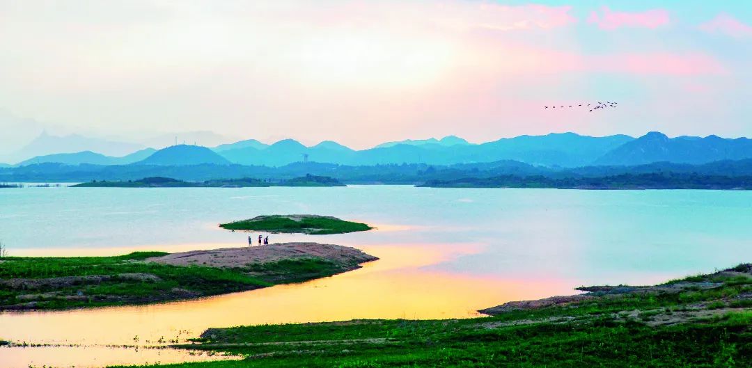 跟着“鸟王爷”去观鸟