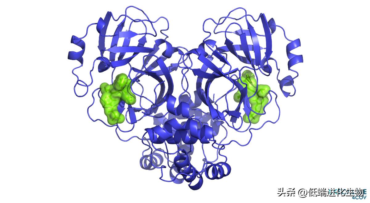 ACS：辉瑞新冠特效药Paxlovid其实是为2003年的非典研发的