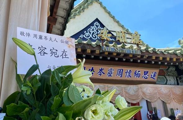 七朵花陈乔恩早期照片,陈乔恩七朵花视频