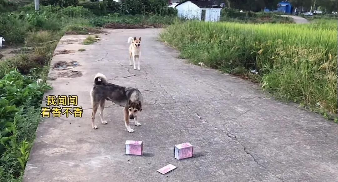 3D画让我对这个世界的真实性产生了怀疑，眼见为实未必是真的