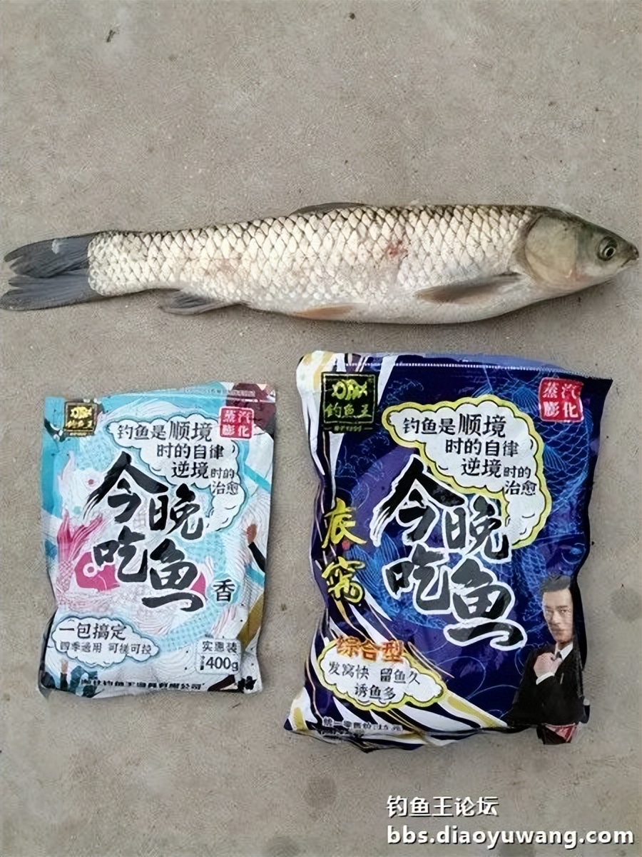 崇明北横引河水深,北横引河能钓鱼吗