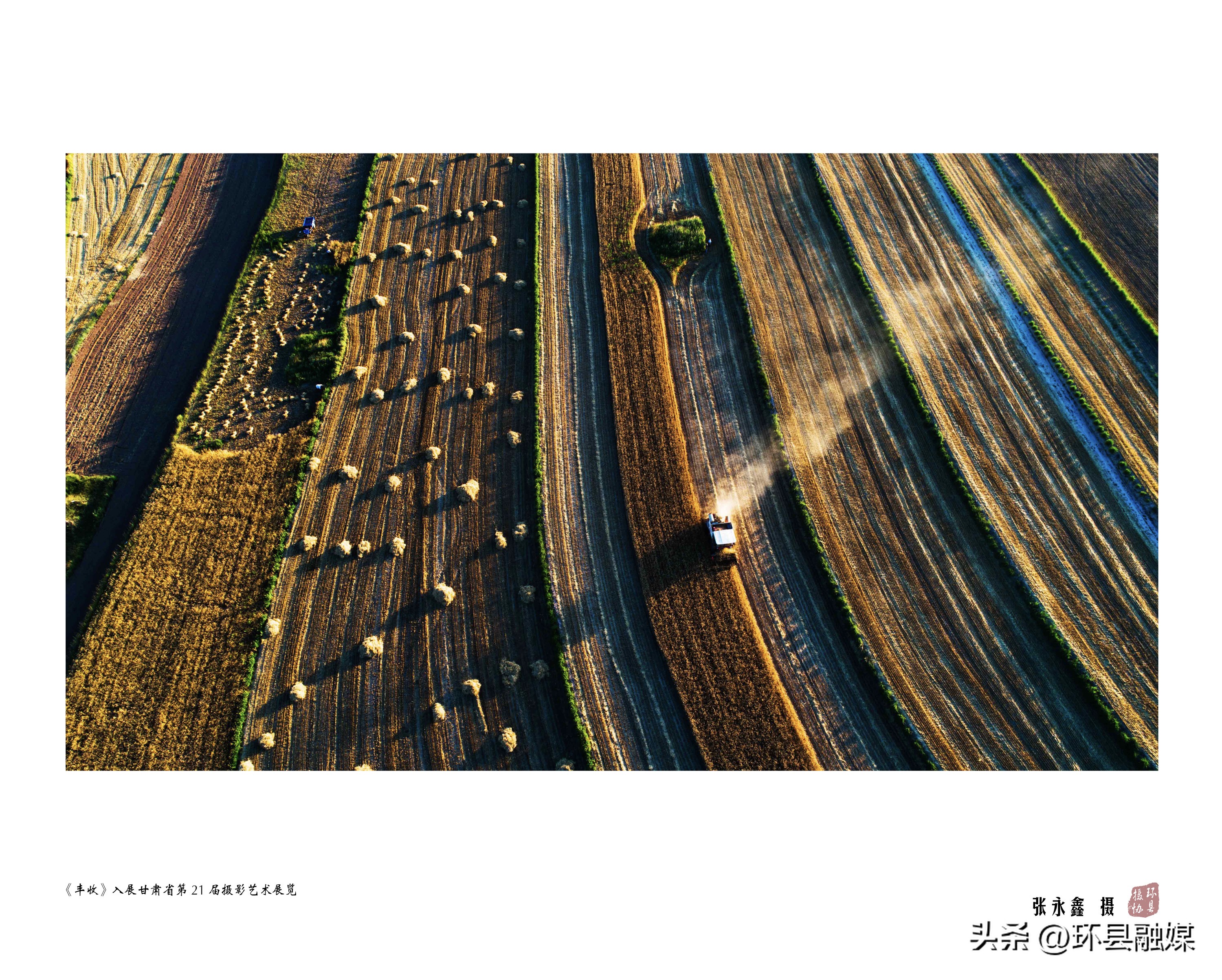 光影映环州新春启征程——环县第二届摄影艺术网络展览之摄影成就类