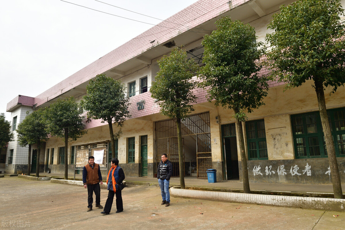 如何打造教育生态,好的教育生态