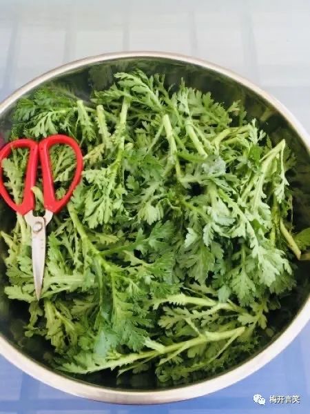 在澳洲种菜日记,我在澳洲学医