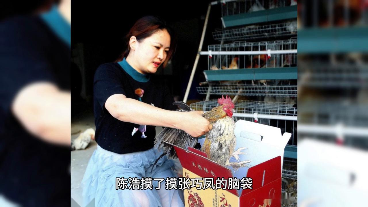 小小说金麻雀奖作品,小小说案件