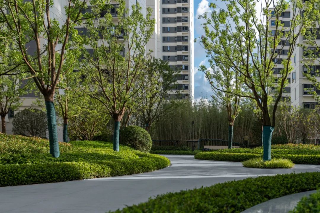 南昌望月湖金茂悦周边楼盘,南昌金茂悦环境