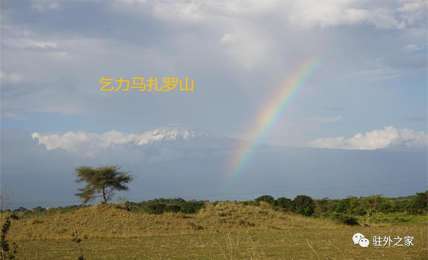 厌倦坦桑尼亚回国，累计被关5个多月后，我又重新选择驻外