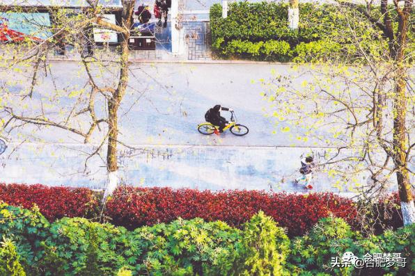 合肥有价值的老房子,合肥市区老房子还有价值吗