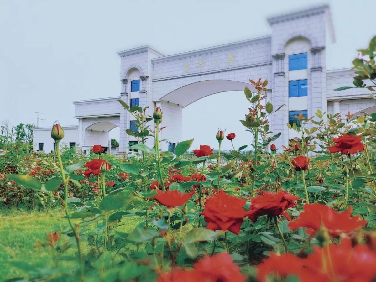 东华南华西华北华哪个大学好,东华西华南华北华