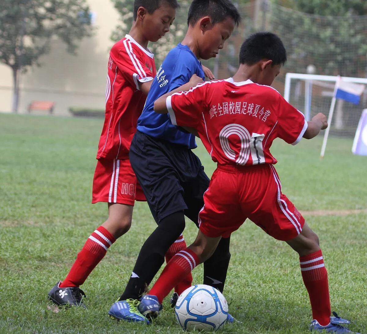 高洪波谈李铁完整版,高洪波说过的话