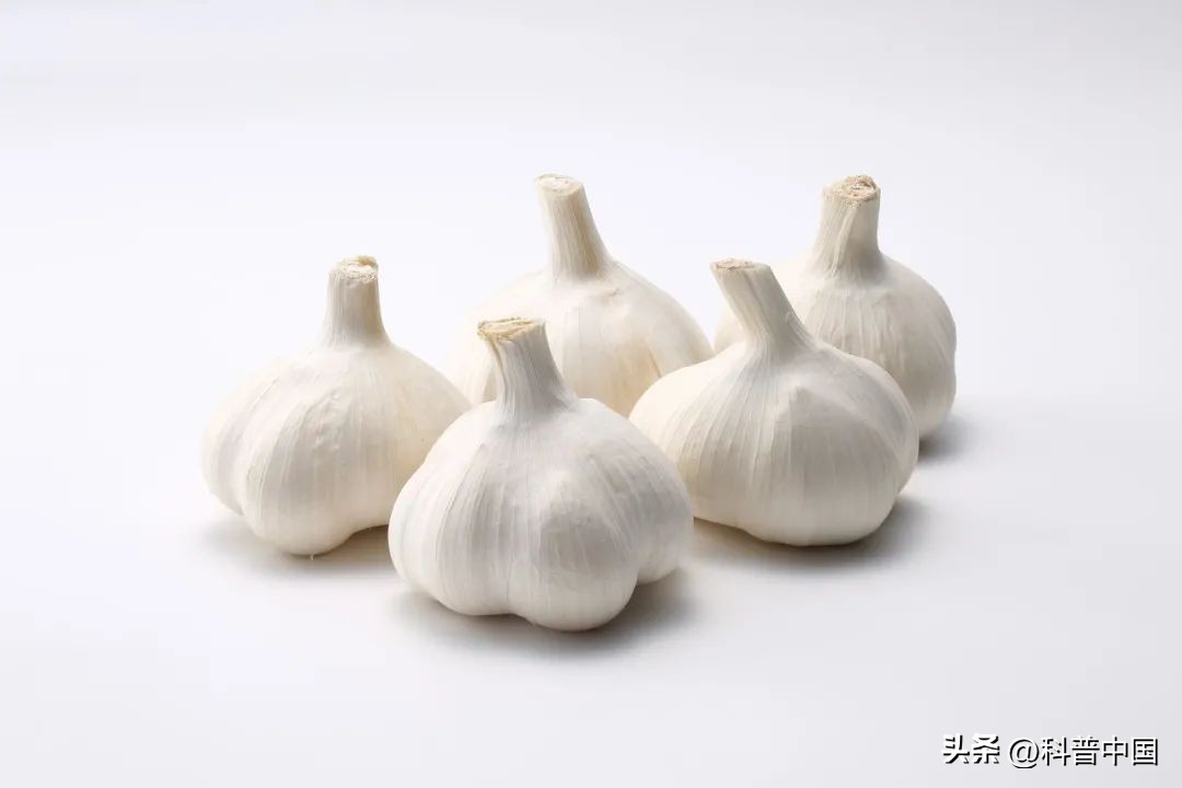 吃蒜有助于预防新冠病毒吗,吃大蒜可以预防新冠病毒吗