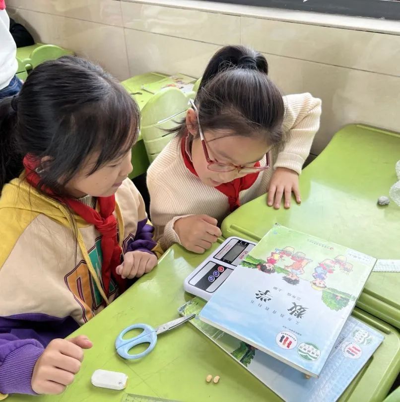 暑期数学综合实践活动小学,小学数学综合实践活动信息报道