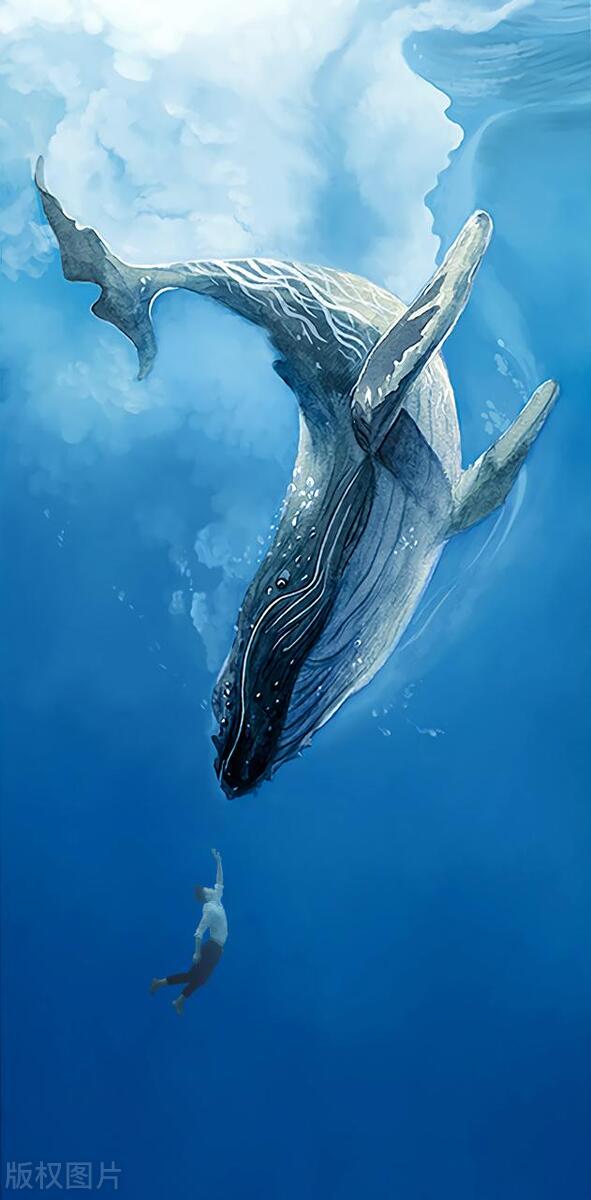 海洋有多深就有什么样的生物,海洋有多深中文版