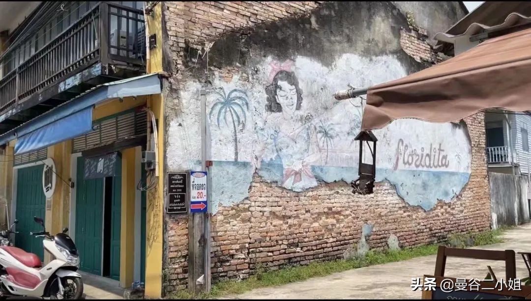 榴莲园带你看越南最美的榴莲,去泰国榴莲园里摘榴莲