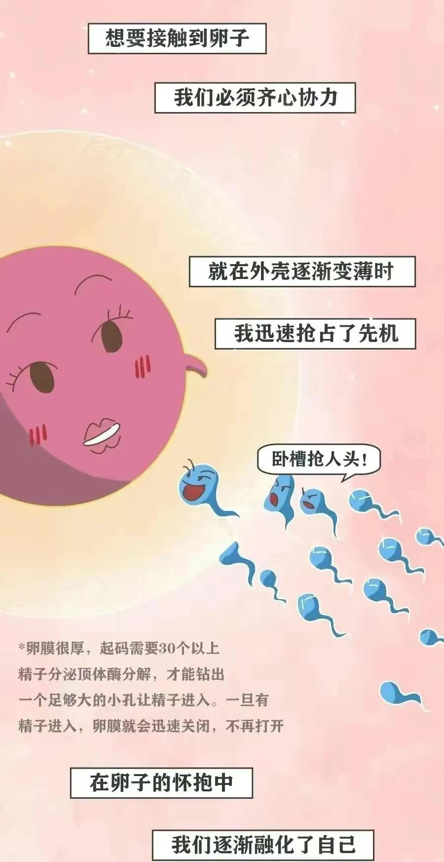 精子进入女生体内的全过程，真是一路坎坷又艰难