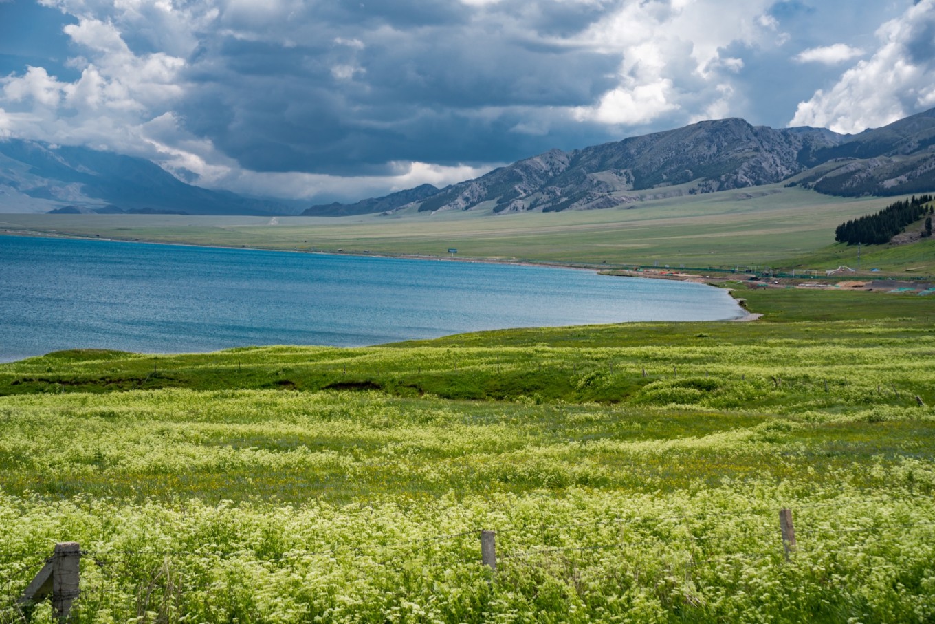 新疆伊犁之美,走了一圈才发现世界万物远不及你