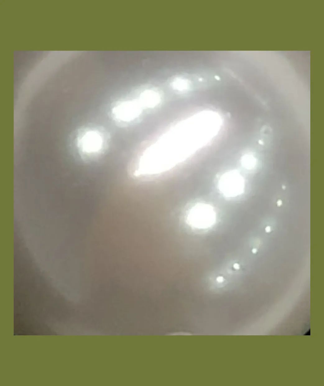 鉴别师怎么学,鉴别师