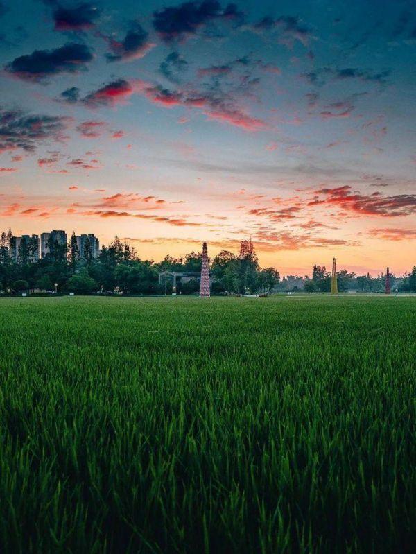 微生物菌群最新研究进展,一号菌群科研新成果