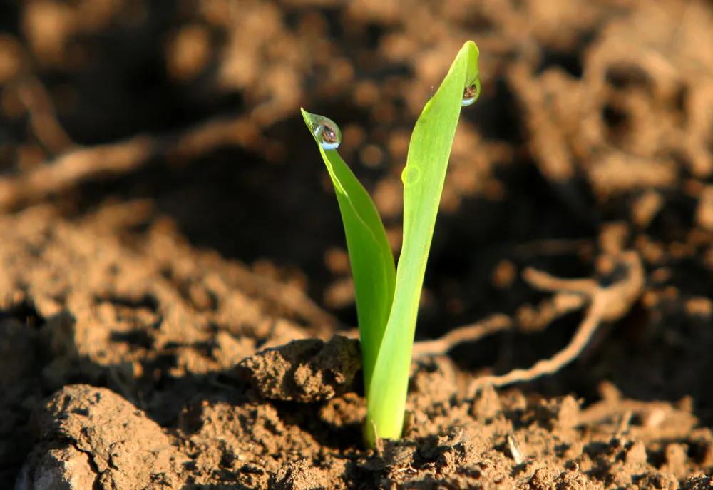 分享交易体系,分享交易信息