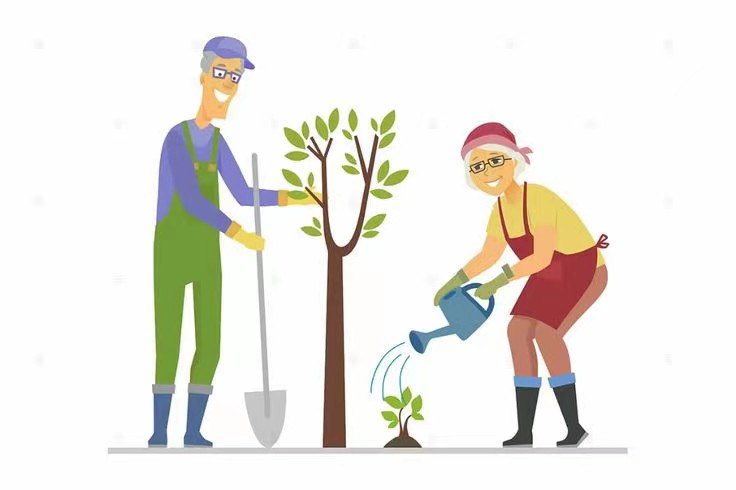 公路行道树修剪规范标准,关于道路行道树修剪的情况说明