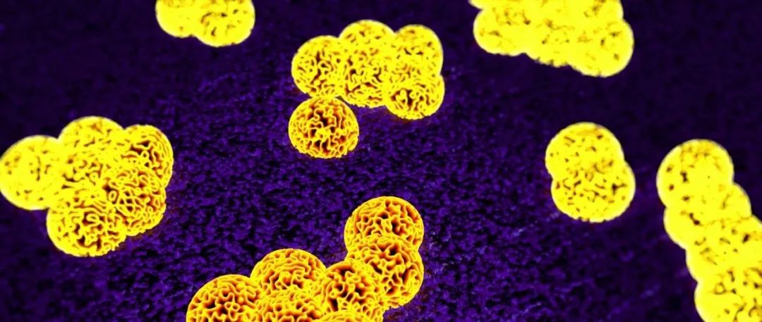 抗氧成分防晒,抗氧的防晒成分有哪些