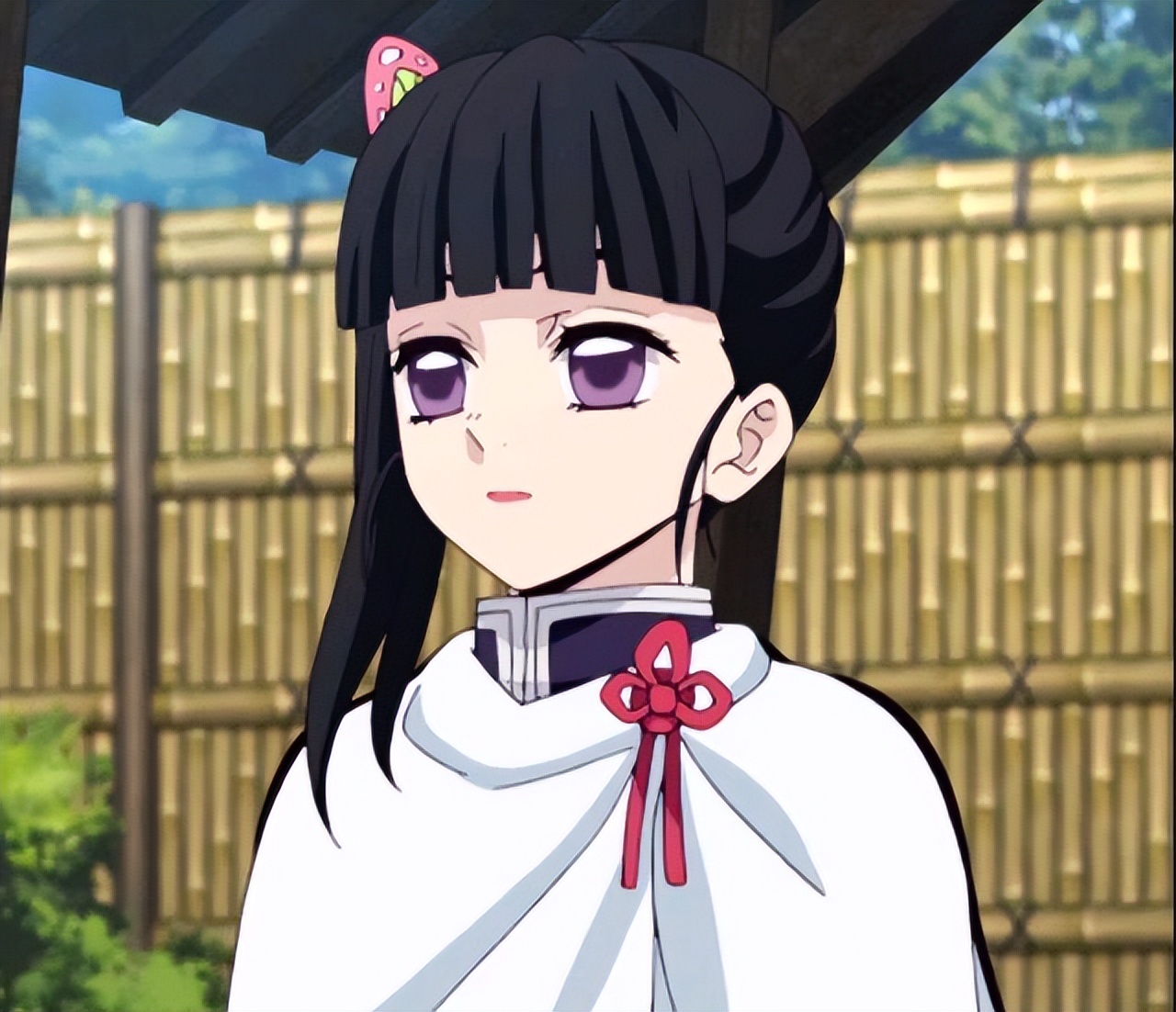 鬼灭之刃蝴蝶姐妹图片,鬼灭之刃蝴蝶忍姐妹