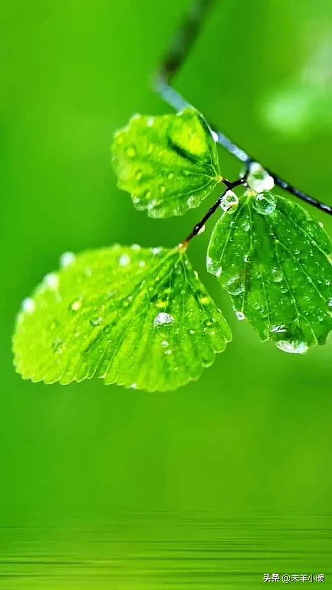 超清超美独一无二手机壁纸图片,养眼养心的壁纸