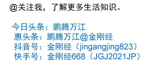 PPT字体色彩美化设计