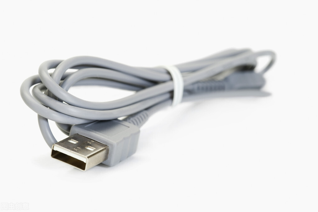 十大对狗狗有害的东西,9种伤害狗的食物