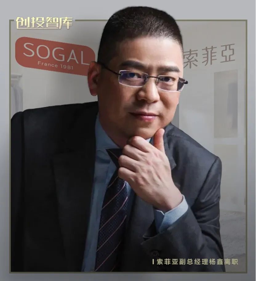 索菲亚薪酬,索菲亚高管名单