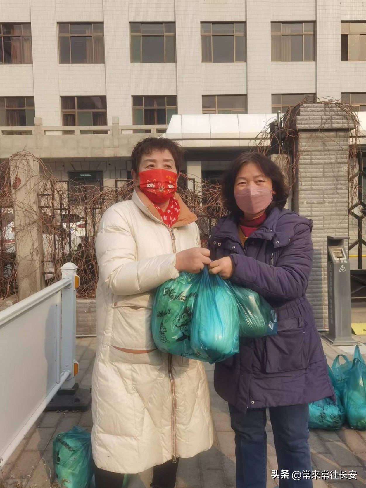 南院门蒲公英志愿者相互关守“白菜萝卜表示我一点心意”西安之声