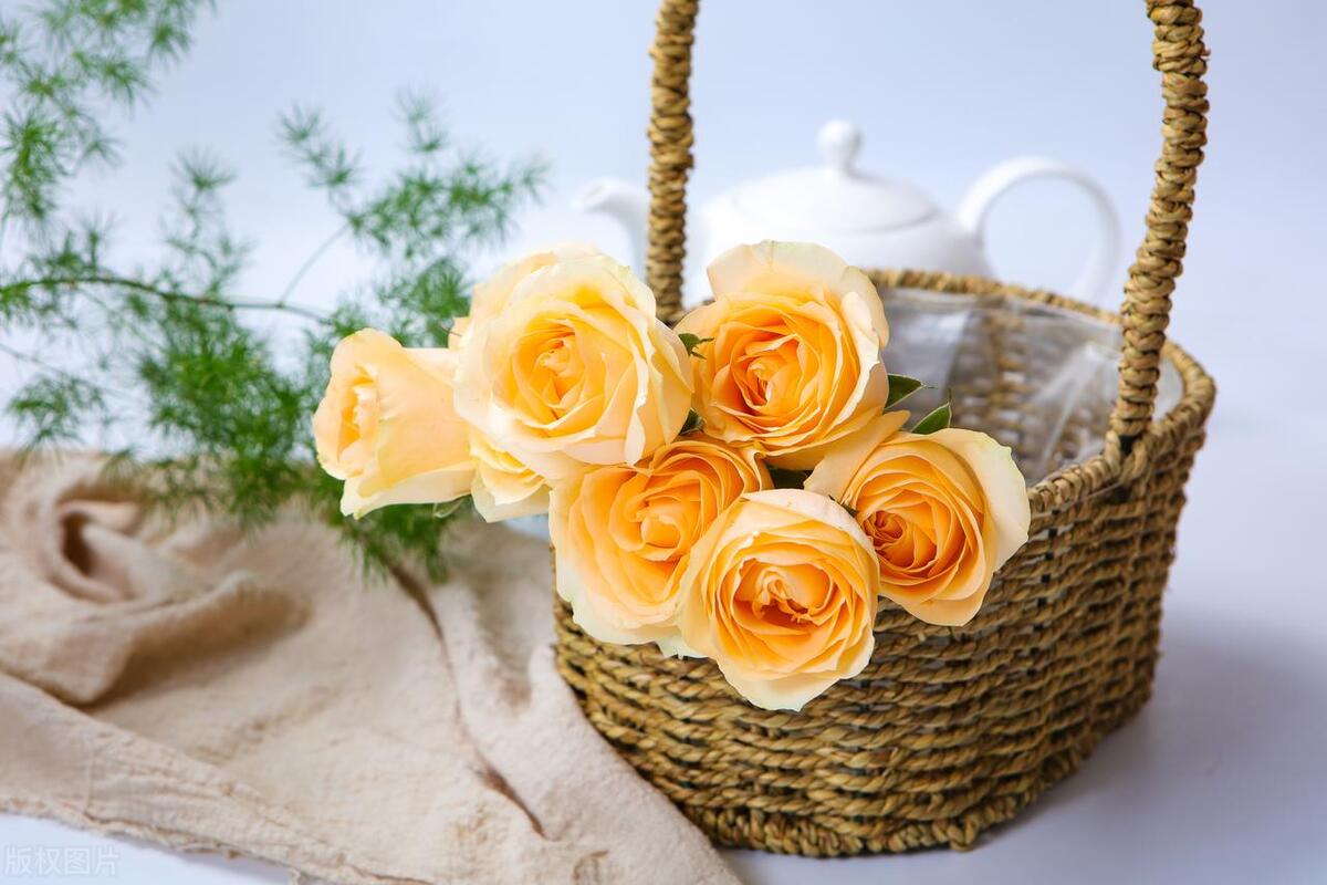 卖衣服的乐趣文案,买衣服的乐趣说说