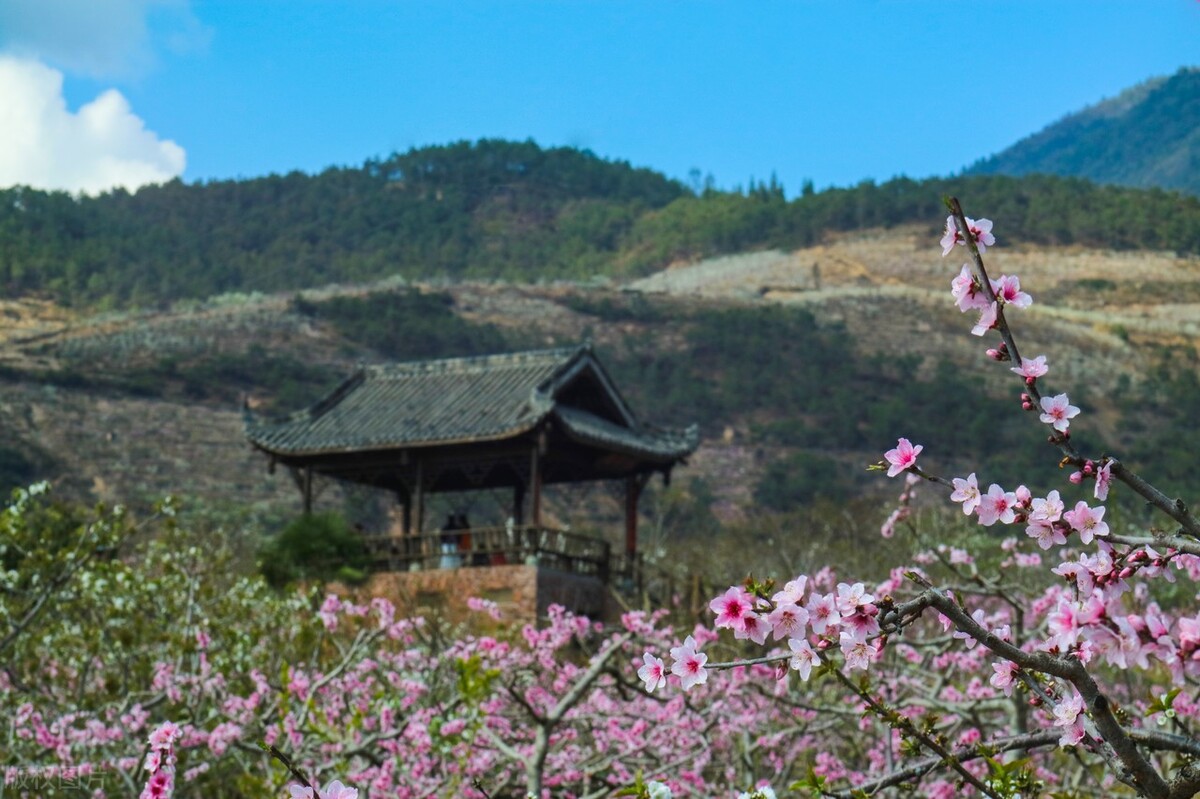 中医治疗前列腺增生哪家医院最好,夜尿多前列腺增生怎么治疗