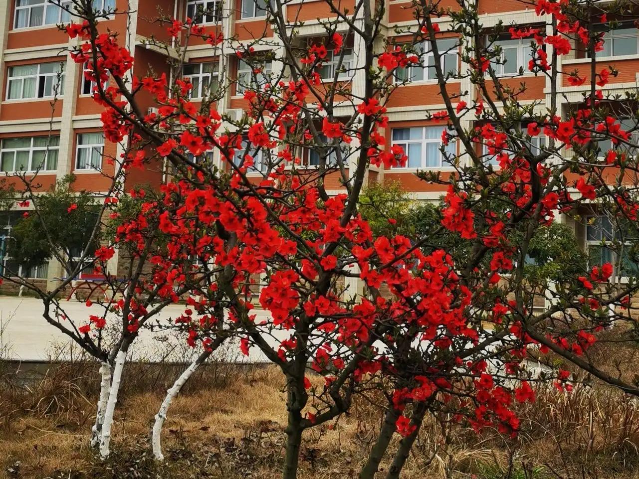 英语写作万能句型第八期,英语写作万能句大全