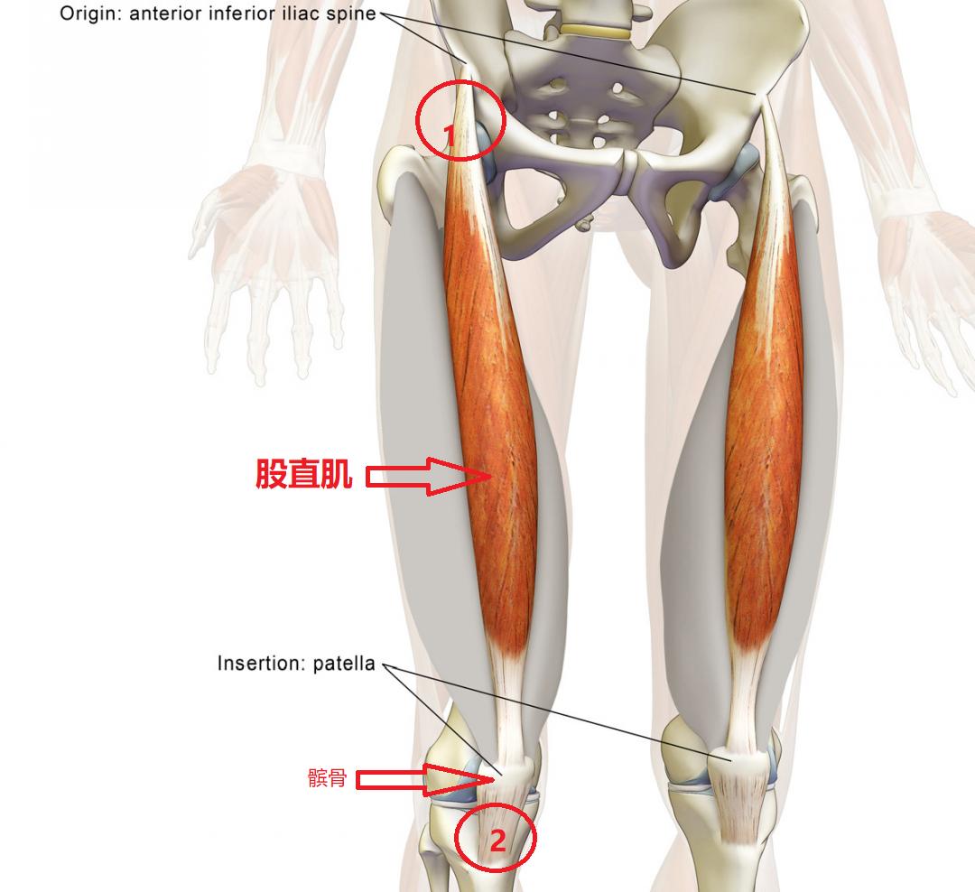 左膝盖前面疼痛警惕四种病,膝盖前面针刺疼痛