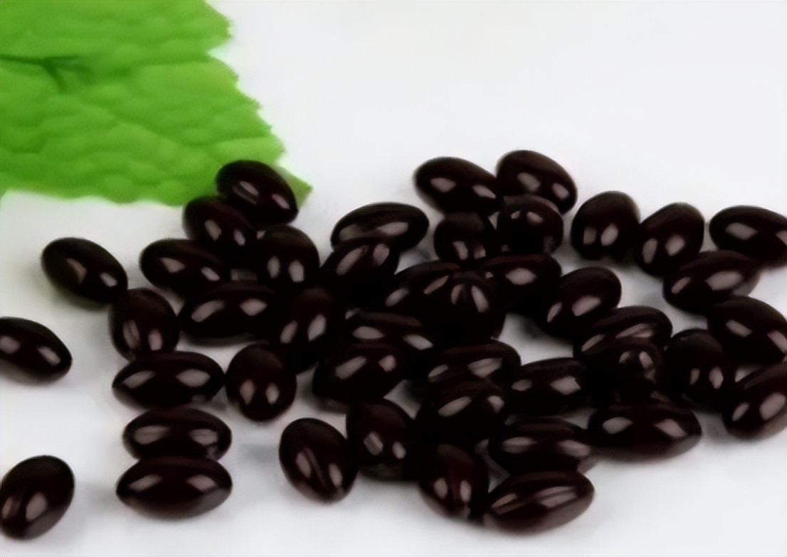 脂肪肝抗氧化药物有哪些,哪种中成药治疗脂肪肝最快最好