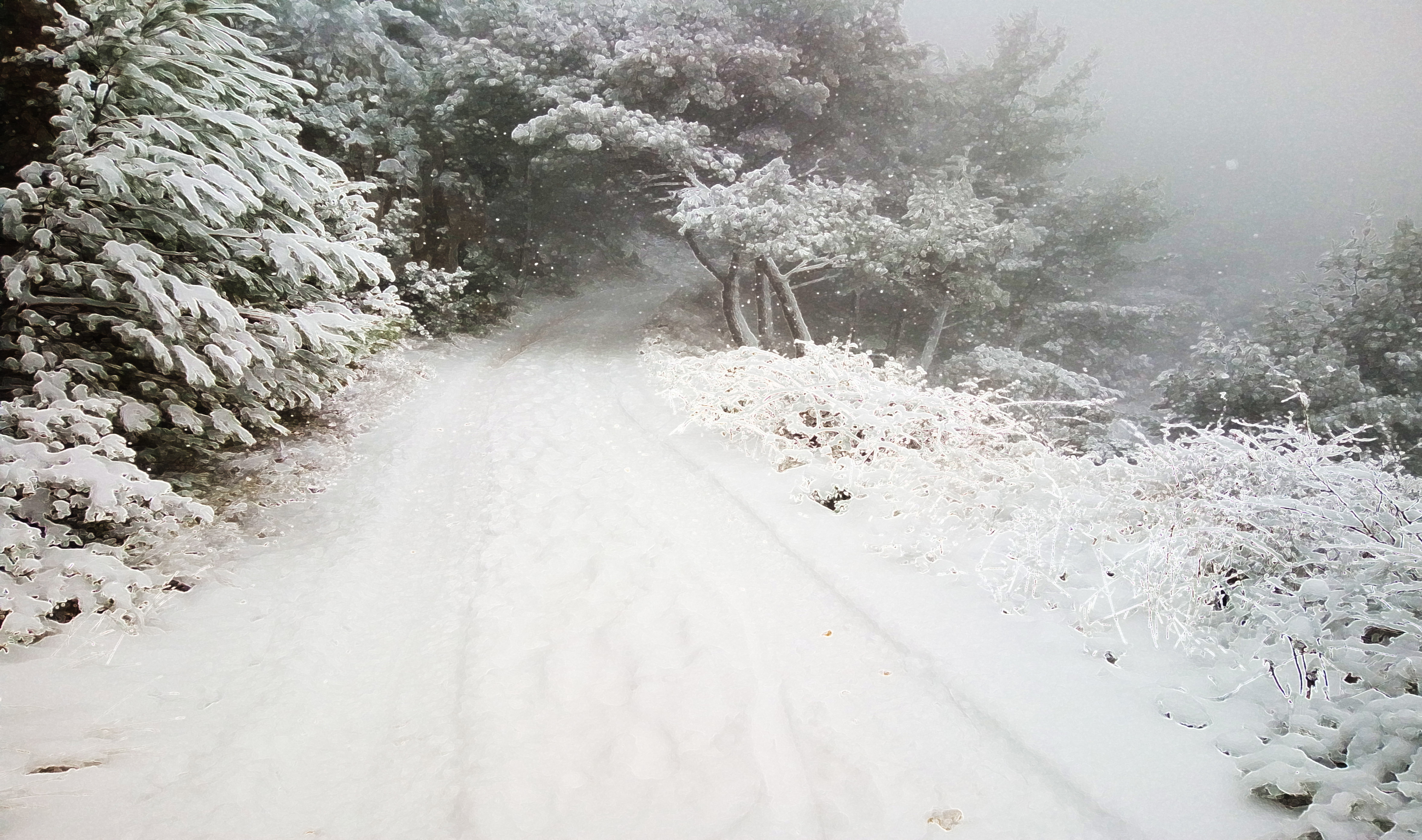 心锁之灵光闪现,十六独自谋生做‘道士’